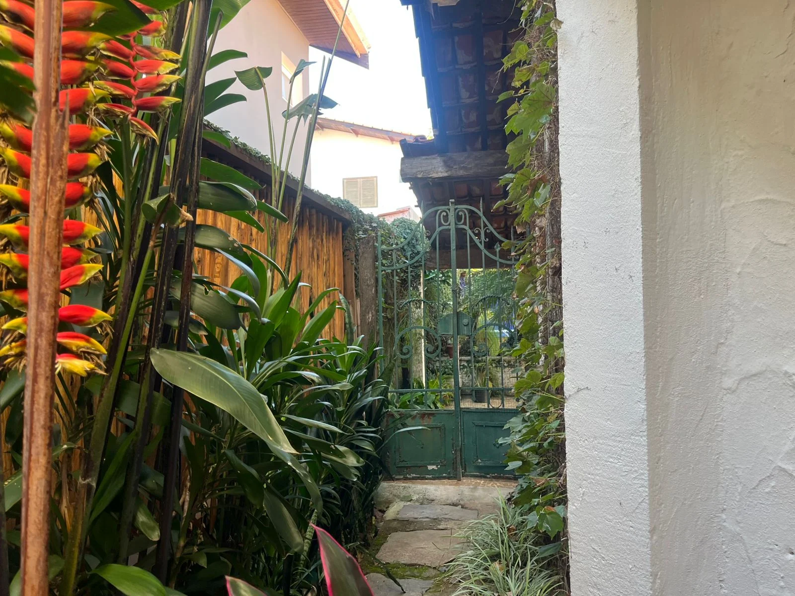 Foto 41